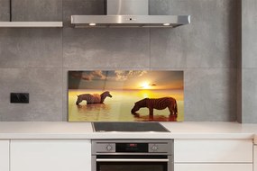 Szklany Panel Zebry przy Wodopoju o Zmierzchu