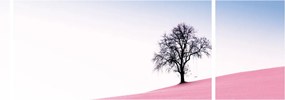 Obraz - Różowy sen (170x50 cm)