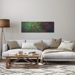 Obraz - Detal sosny (z zegarem) (90x30 cm)