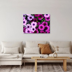 Obraz - Kwiaty (70x50 cm)