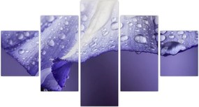 Obraz - Płatek z kroplami (125x70 cm)