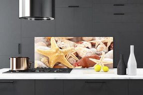 Panel Szklany Kompozycja Muszli na Brzegu