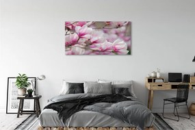 Zdjęcie na płótnie Kwitnące Drzewa