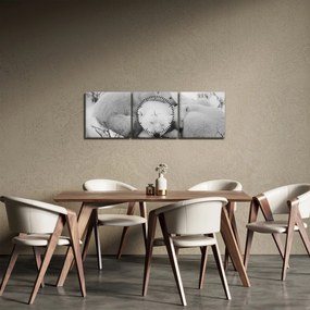 Obraz - Niedźwiedzie polarne (z zegarem) (90x30 cm)