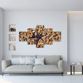 Obraz rozgwiazdy (125x70 cm)