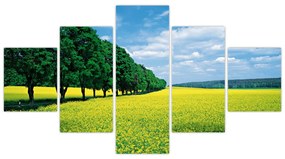 Obraz pola z aleją (125x70 cm)