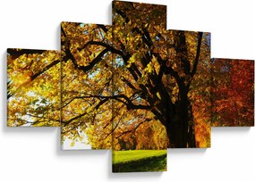 Obraz jesiennego drzewa (125x70 cm)