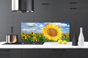 Panel Szklany do Kuchni Złoty Słonecznik pod Niebem