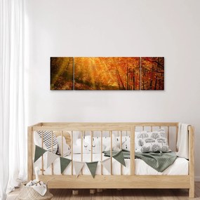 Obraz jesiennego lasu (170x50 cm)