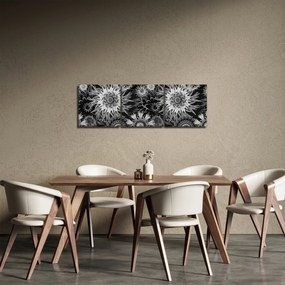Obraz - Czarne i białe osty (z zegarem) (90x30 cm)