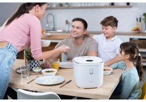 Lauben Low Sugar Rice Cooker  3000WT