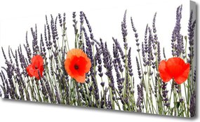 Obraz drukowany na płótnie Maki Tańczące na Wietrze