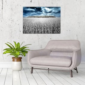 Obraz na szkle pola (70x50 cm)