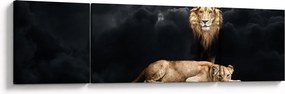 Obraz - Lew i lwica w chmurach (170x50 cm)