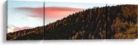 Obraz rudzików nad wzgórzem (170x50 cm)