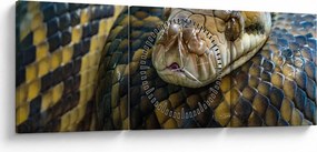 Obraz - Pyton (z zegarem) (90x30 cm)