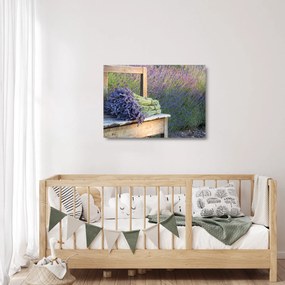 Obraz na szkle - Pęczki lawendy (70x50 cm)