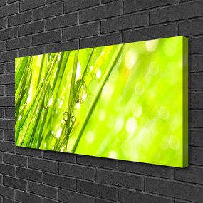 Obraz canvas Świeżość Porannej Rosy