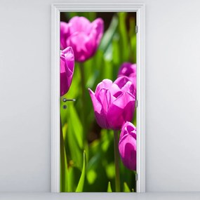 Fototapeta na drzwi - Tulipany na łące (95x205cm)