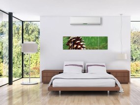 Obraz szyszki (170x50 cm)