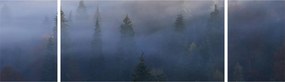 Obraz - Las we mgle, Karpaty, Ukraina (170x50 cm)