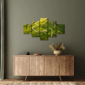 Obraz - Plateau Meadow (125x70 cm)