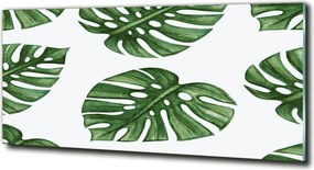 Foto obraz szkło hartowane Monstera