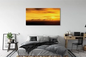 Duży obraz na płótnie Drzewo i Żyrafy pod Niebem