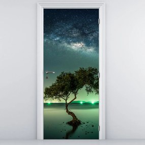 Fototapeta na drzwi - Nocne niebo (95x205cm)