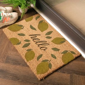 Wycieraczka z włókna kokosowego 40x60 cm Hello Lemons – Artsy Doormats