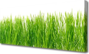 Fotoobraz na płótnie Naturalny Dywan Zieleni