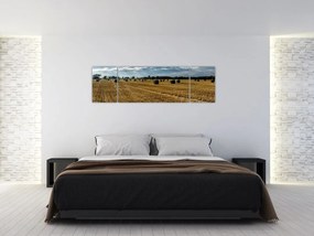 Obraz zebranego pola zboża (170x50 cm)