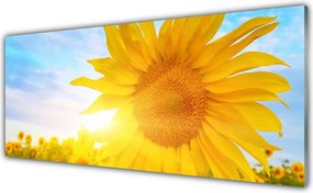 Panel Szklany Słonecznik w Pełnym Rozkwicie