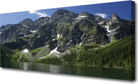 Zdjęcie na płótnie Panorama Alpejskiej Natury