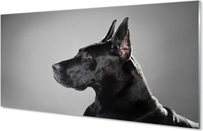 Panel szklany do Kuchni Elegancki Czarny Pies