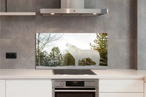 Panel nad Blat Kuchenny Wilk w Śnieżnej Puszczy