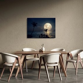 Obraz na szkle - Plaża przy pełni księżyca (70x50 cm)
