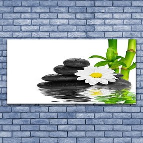 Obraz canvas Harmonijna Kompozycja Zen z Bambusem