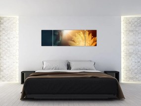 Obraz - Pokój (170x50 cm)