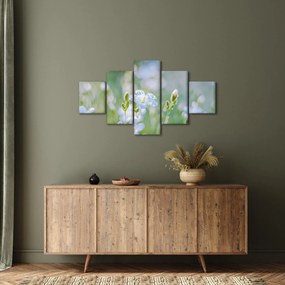 Obraz - Delikatne kwiaty (125x70 cm)