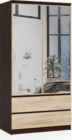 Szafa z lustrem w stylu klasycznym wenge + dąb sonoma K0-E25