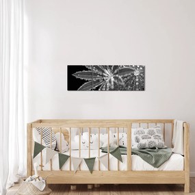 Obraz - Krople (z zegarem) (90x30 cm)
