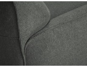 Szary fotel Windsor &amp; Co Sofas Neso