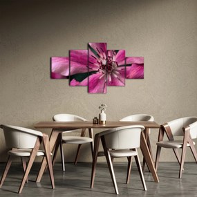 Obraz różowego kwiatu powojnika (125x70 cm)