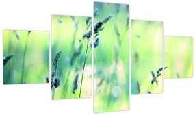 Obraz - Szczegół łąki (125x70 cm)