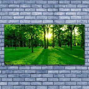 Obraz na płótnie Parkowe Alejki w Słońcu