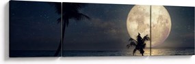 Obraz - Plaża pod pełnią księżyca (170x50 cm)