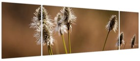 Obraz - Trawa (170x50 cm)
