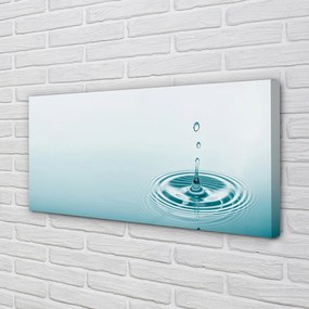 Duży obraz na płótnie Kropla Wody w Makrofotografii