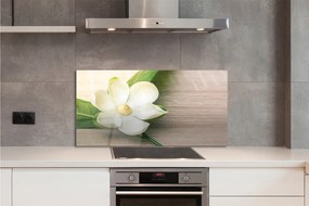 Panel Kuchenny Szklany Szlachetna Biała Magnolia